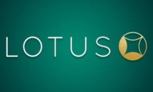 lotus247 logo